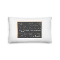 Einstein - Premium Pillows